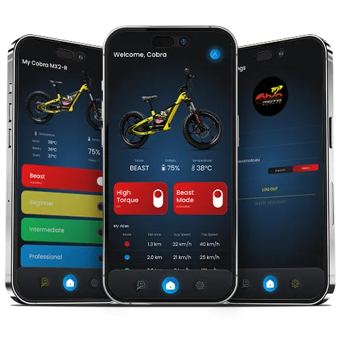 Botz Bike Application Roko Ivandić - Botz testimony